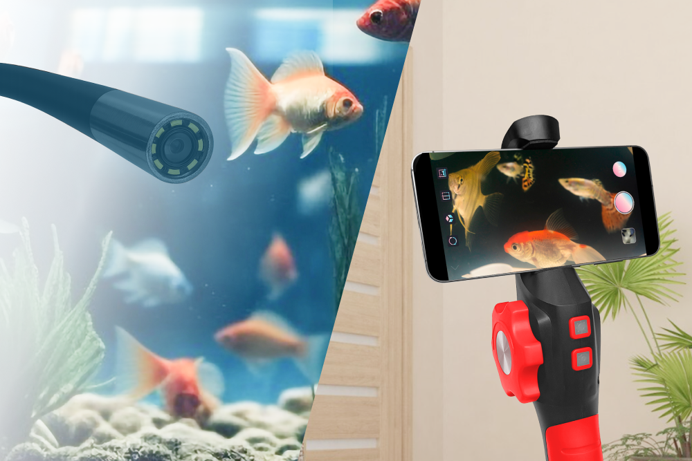 Эндоскоп для сайта - 2.png